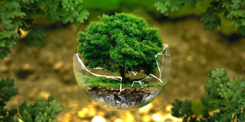 Environmental Reports